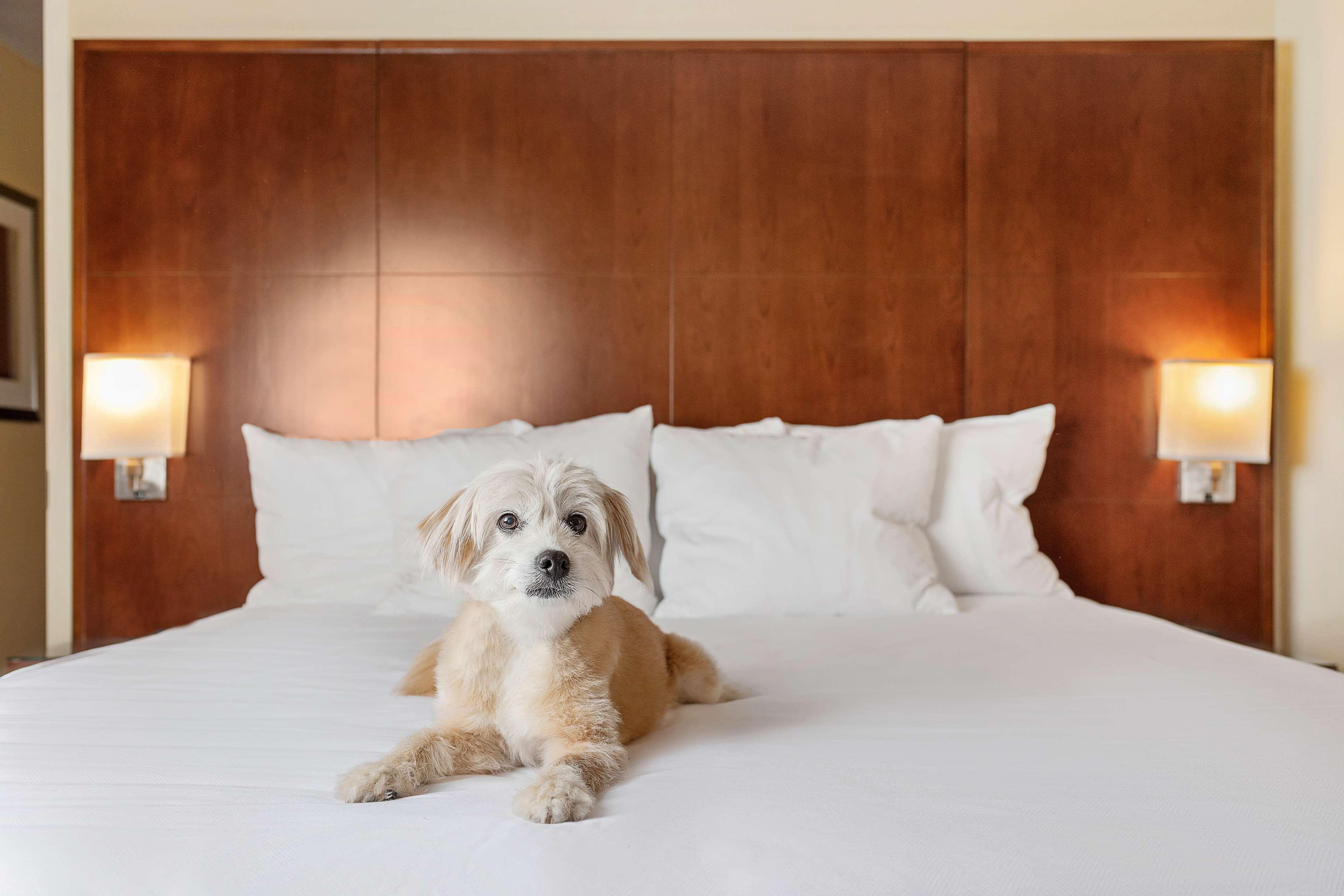 Hotel Hyatt Regency Houston Downtown Zewnętrze zdjęcie